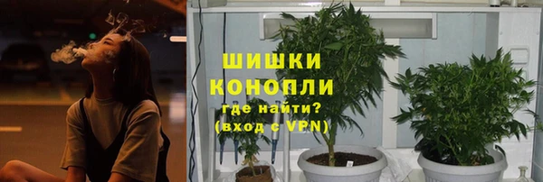кокаин Богданович