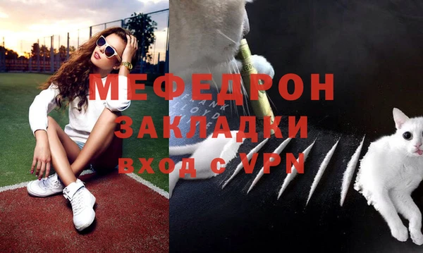 МДПВ Богородск