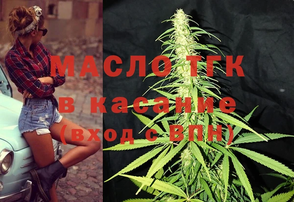 МДПВ Богородск