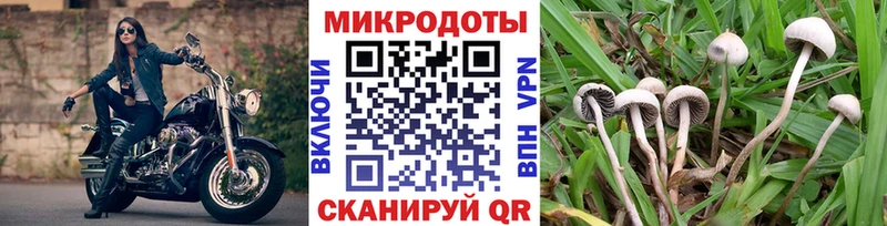 блэк спрут онион  мориарти как зайти  Галлюциногенные грибы MAGIC MUSHROOMS  Донской 