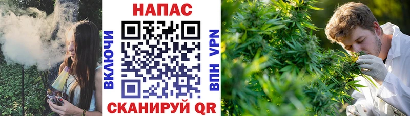 Бошки Шишки SATIVA & INDICA Донской